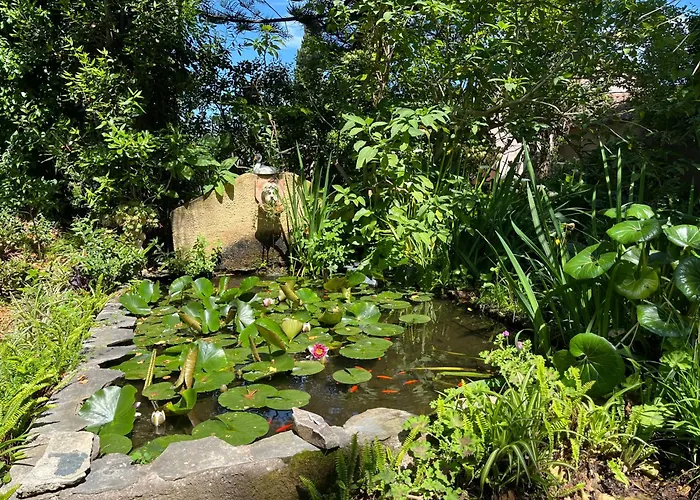 Avec Piscine Dans * Furiani