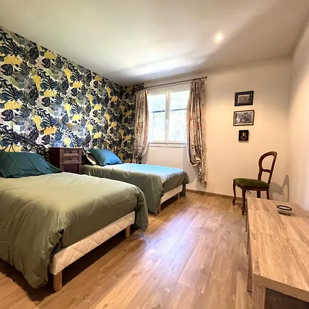 Avec Piscine Dans Furiani