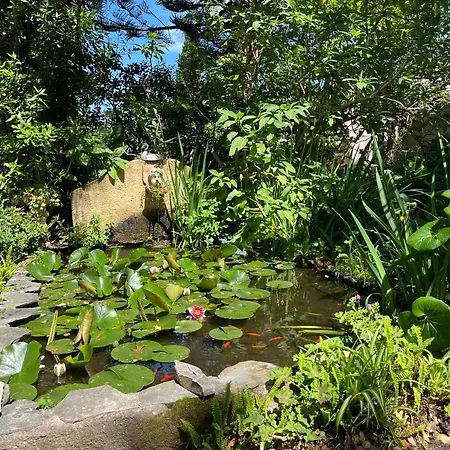 Avec Piscine Dans * Furiani
